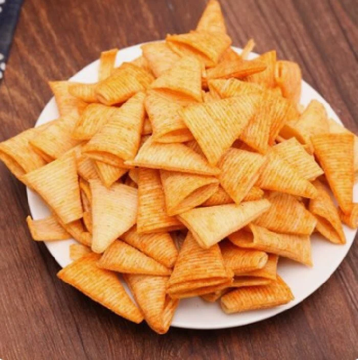 Corn Chips Processing Plant